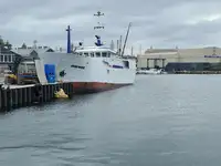 Longliner de vânzare