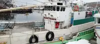 Nava de pescuit tip trauler de vânzare
