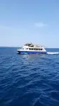Catamaran de vânzare