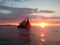 Nava de pescuit tip trauler de vânzare