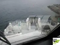 Catamaran de vânzare