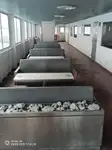 Navă RoPax de vânzare