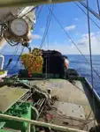 Nava de pescuit cu plase purseine de vânzare