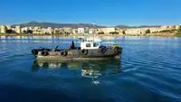 Ambarcațiuni de lucru de vânzare