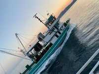 Nava de pescuit cu plase purseine de vânzare