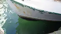 Nava de pescuit tip trauler de vânzare