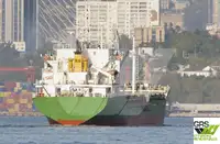 Nava de transport marfă vrac de vânzare