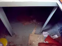 Remorcher de vânzare