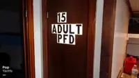 Navă de feribot de vânzare