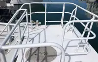 Catamaran de vânzare