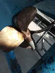 Navă pilot de vânzare