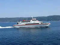 Catamaran de vânzare