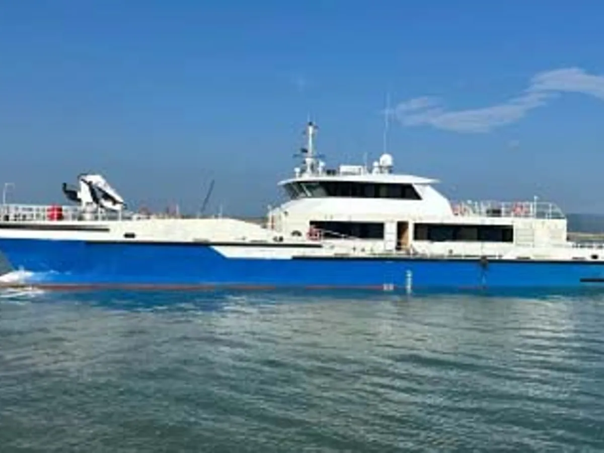 Catamaran de vânzare