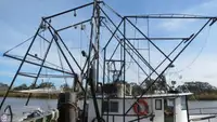 Nava de pescuit tip trauler de vânzare