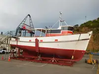 Nava de pescuit tip trauler de vânzare