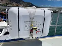 Remorcher de vânzare