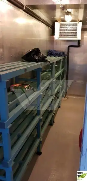 Navă de croazieră de vânzare