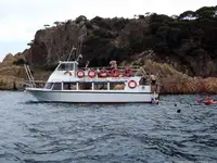 Suport pentru scufundări de vânzare