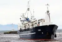 Nava de transport marfă vrac de vânzare