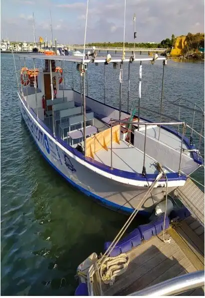 Navă de feribot de vânzare