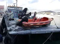 Ambarcațiuni de lucru de vânzare