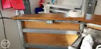 Catamaran de vânzare