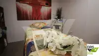 Navă de croazieră de vânzare