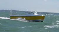 Catamaran de vânzare