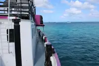 General Cargo/Multi-purpose de vânzare