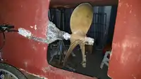 Nava de pescuit tip trauler de vânzare