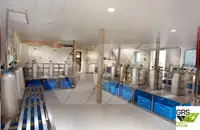 Navă de croazieră de vânzare
