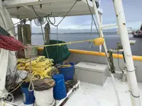 Nava de pescuit tip trauler de vânzare