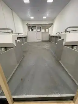 Catamaran de vânzare