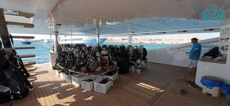 Navă de croazieră de vânzare
