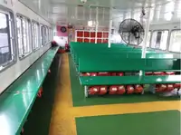 Navă de feribot de vânzare
