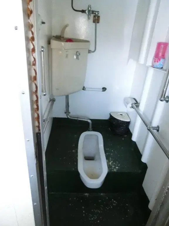 Navă de croazieră de vânzare