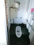 Navă de croazieră de vânzare