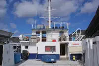 Catamaran de vânzare