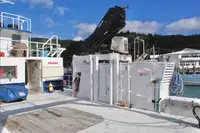 Catamaran de vânzare