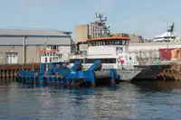 Catamaran de vânzare