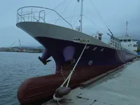 General Cargo/Multi-purpose de vânzare