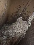 Nava de transport marfă vrac de vânzare