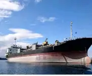 Nava de transport marfă vrac de vânzare