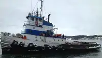 Remorcher de vânzare