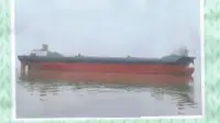 Nava de containere de vânzare