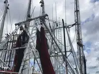 Nava de pescuit tip trauler de vânzare