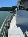 Catamaran de vânzare