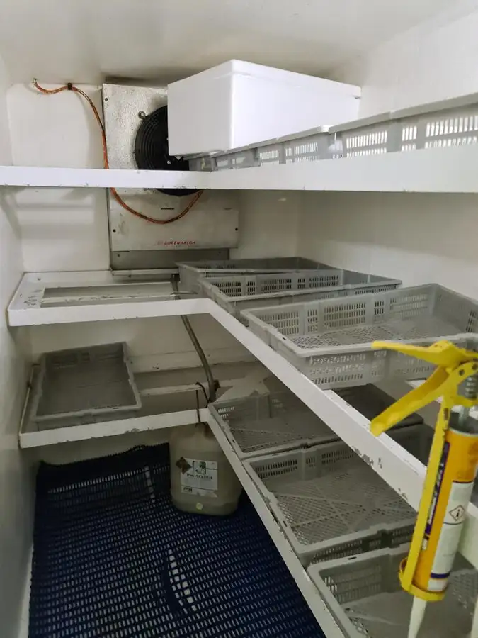 Nava de pescuit cu linii lungi de vânzare