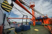 Nava container de vânzare