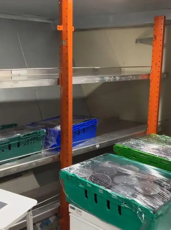Navă de croazieră și feribot de vânzare